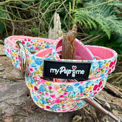 Luxury Blue Meadow Floral Dog Lead for Chihuahuas, Toy Breeds &amp; Small Puppies