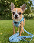 Tiny Trails Step In Air Mesh Puppy and Small Dog Harness Baby Blue