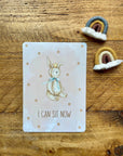 Baby Milestone Cards