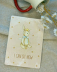Baby Milestone Cards