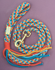 Dog Lead DIY Crafting Kit | Basket Weave Pattern | Make Your Own Dog Lead