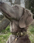 Bentley Olive & Khaki Colour Block Collar