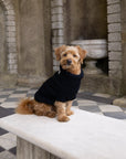 Black British Wool Dog Jumper