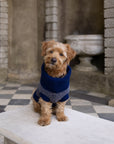 Navy Dog Jumper In Merino Lambswool