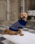 Navy Dog Jumper In Merino Lambswool