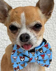 Blue Chihuahua Print Exclusive Designer Bow Tie by My Chi and Me