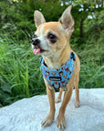 Blue Chihuahua Print Exclusive Small Dog Harness by My Chi and Me SALE