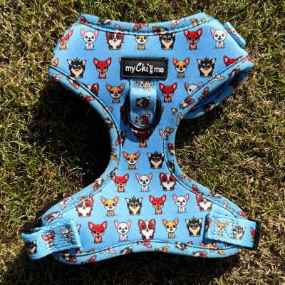 Blue Chihuahua Print Exclusive Small Dog Harness by My Chi and Me SALE