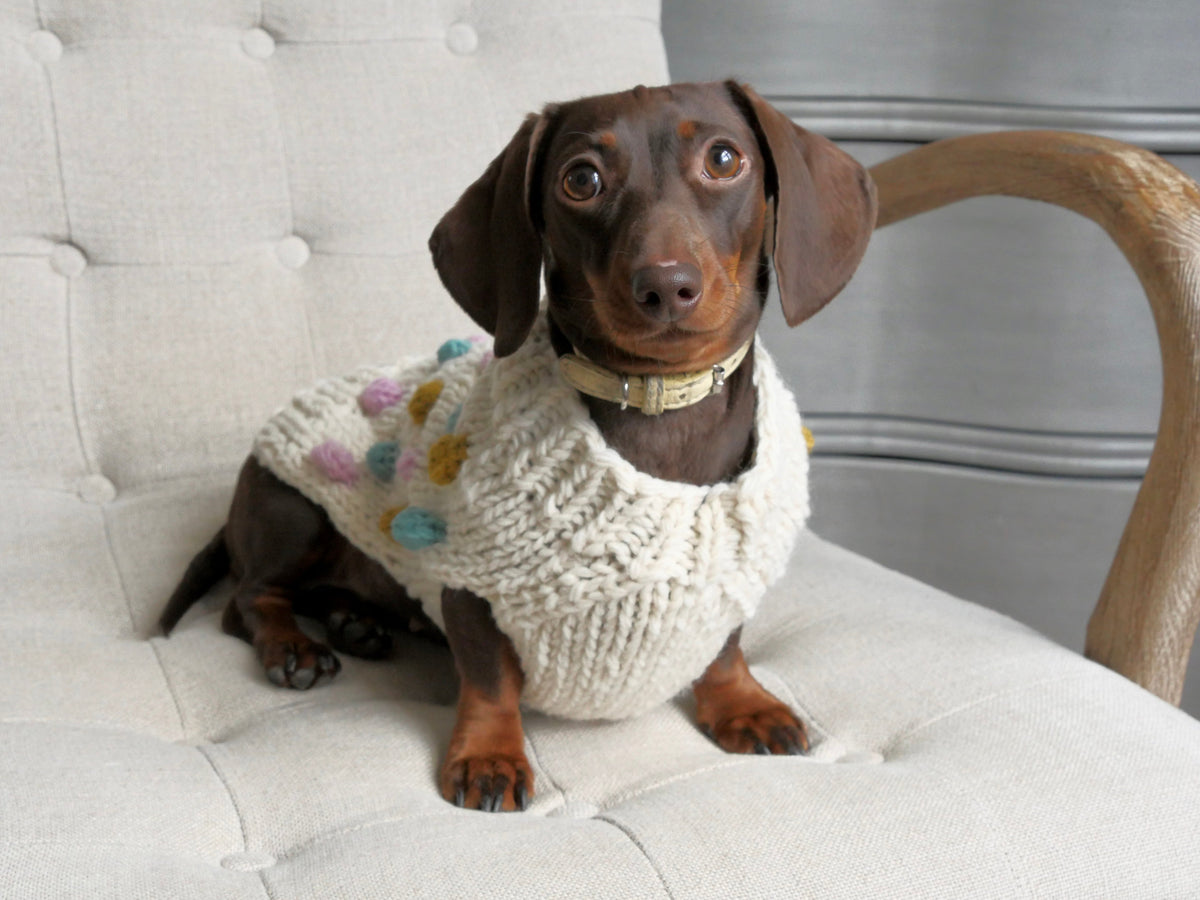 Handknitted Bobble Dog Jumper in Cream