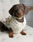 Handknitted Bobble Dog Jumper in Cream