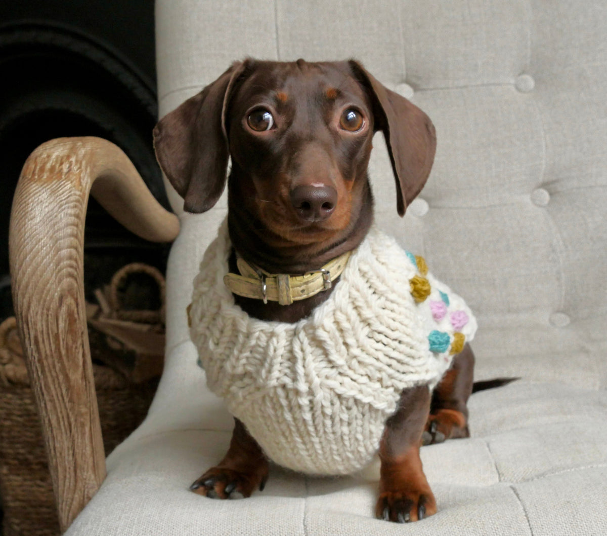 Handknitted Bobble Dog Jumper in Cream