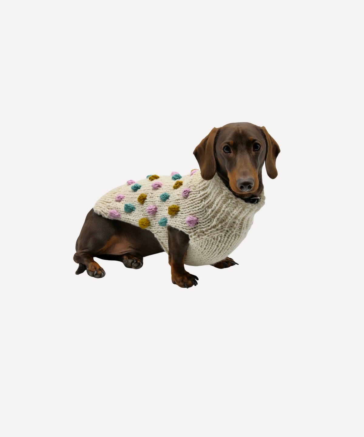 Handknitted Bobble Dog Jumper in Cream