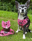 Signature Pink Chihuahua Print Exclusive Small Sailor Bow by My Chi and Me