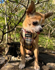 Luxury Brown Tartan Harness by My Pup and Me
