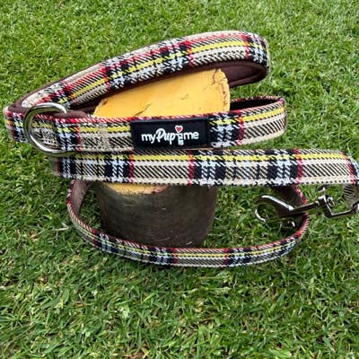Luxury Brown Tartan Lead by My Pup and Me