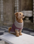 Burgundy Merino Lambswool Dog Jumper