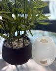 ‘Floral Era’ aromatherapy wax melts