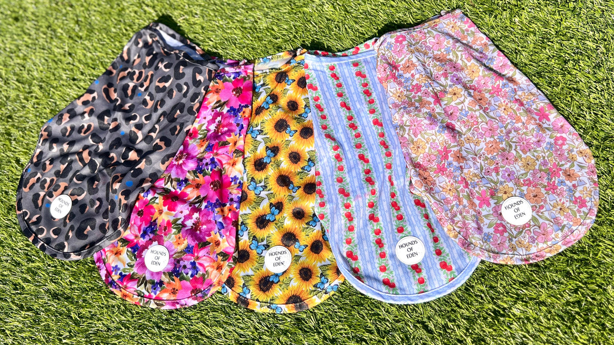 Eden's Orchard Dog Cooling Vest