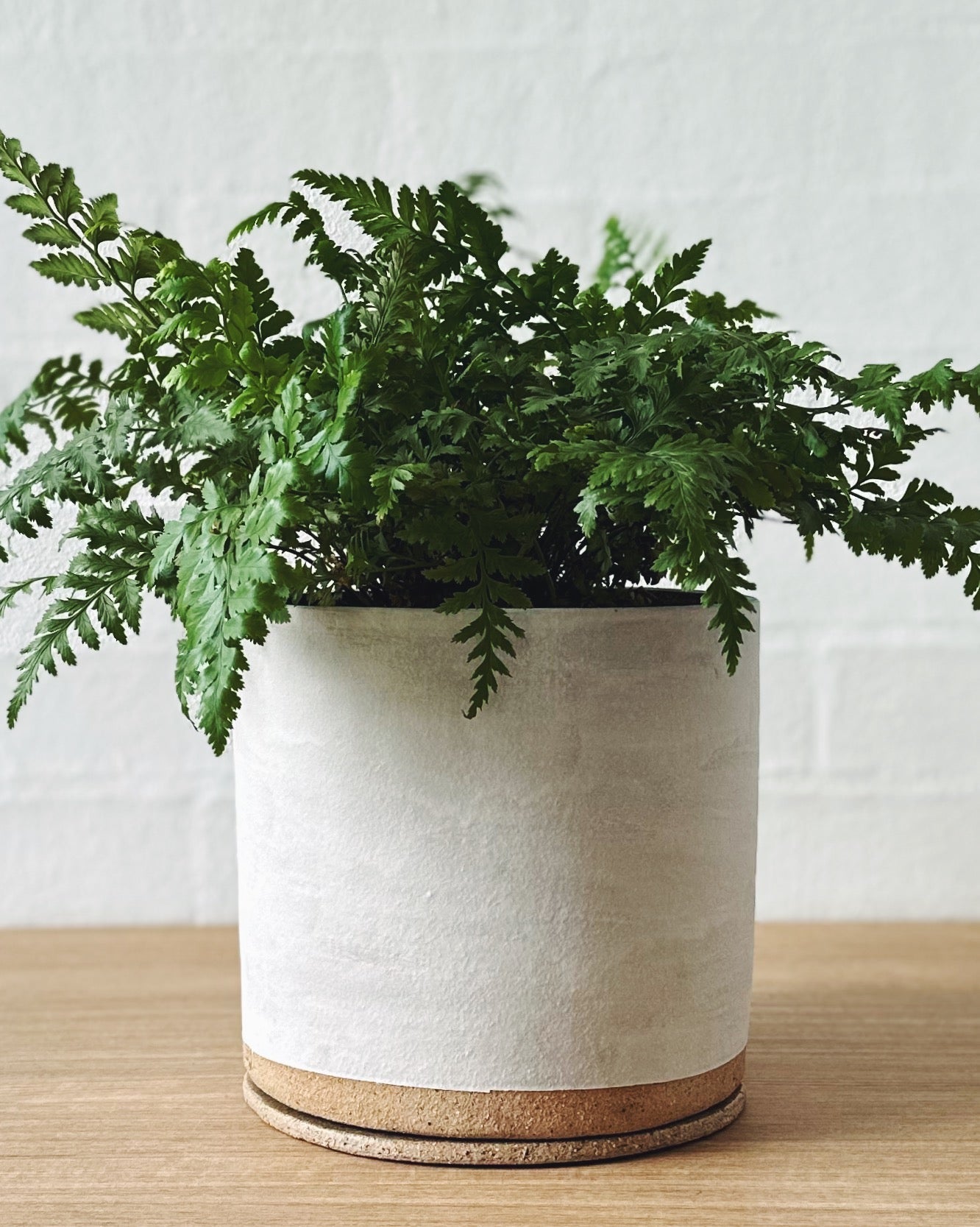 Handmade ceramic planter - Eggshell white