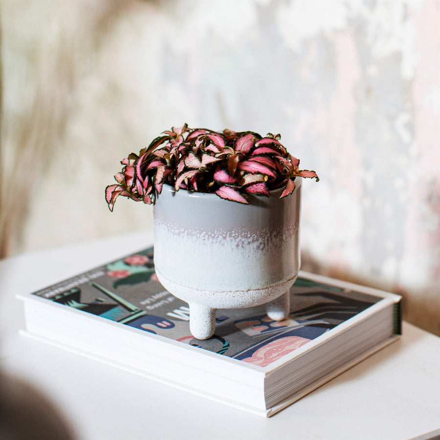 Bohemian style grey ombre glazed stoneware planter, handcrafted small plant pot for cacti and succulents by Ella James at brixbailey.com