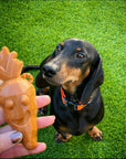 Rosewood Carrot and Broccoli Dog Chew Treats