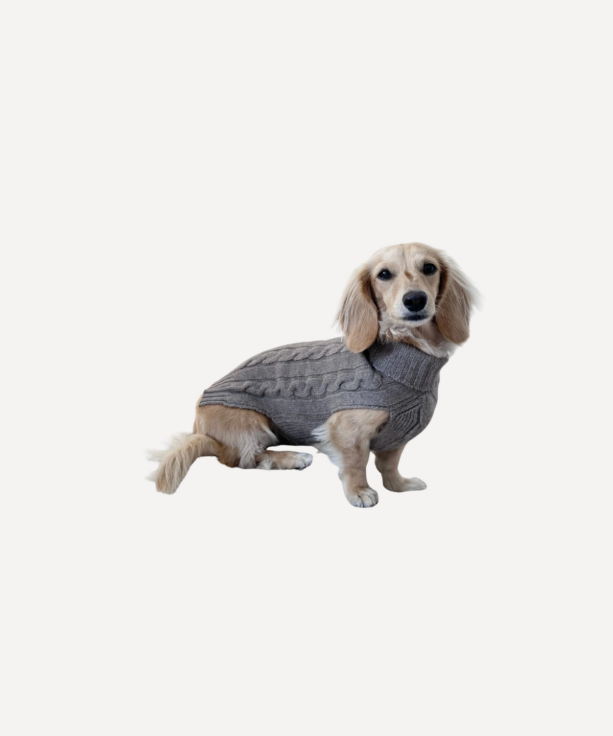 Cashmere Dog Jumper, Gray