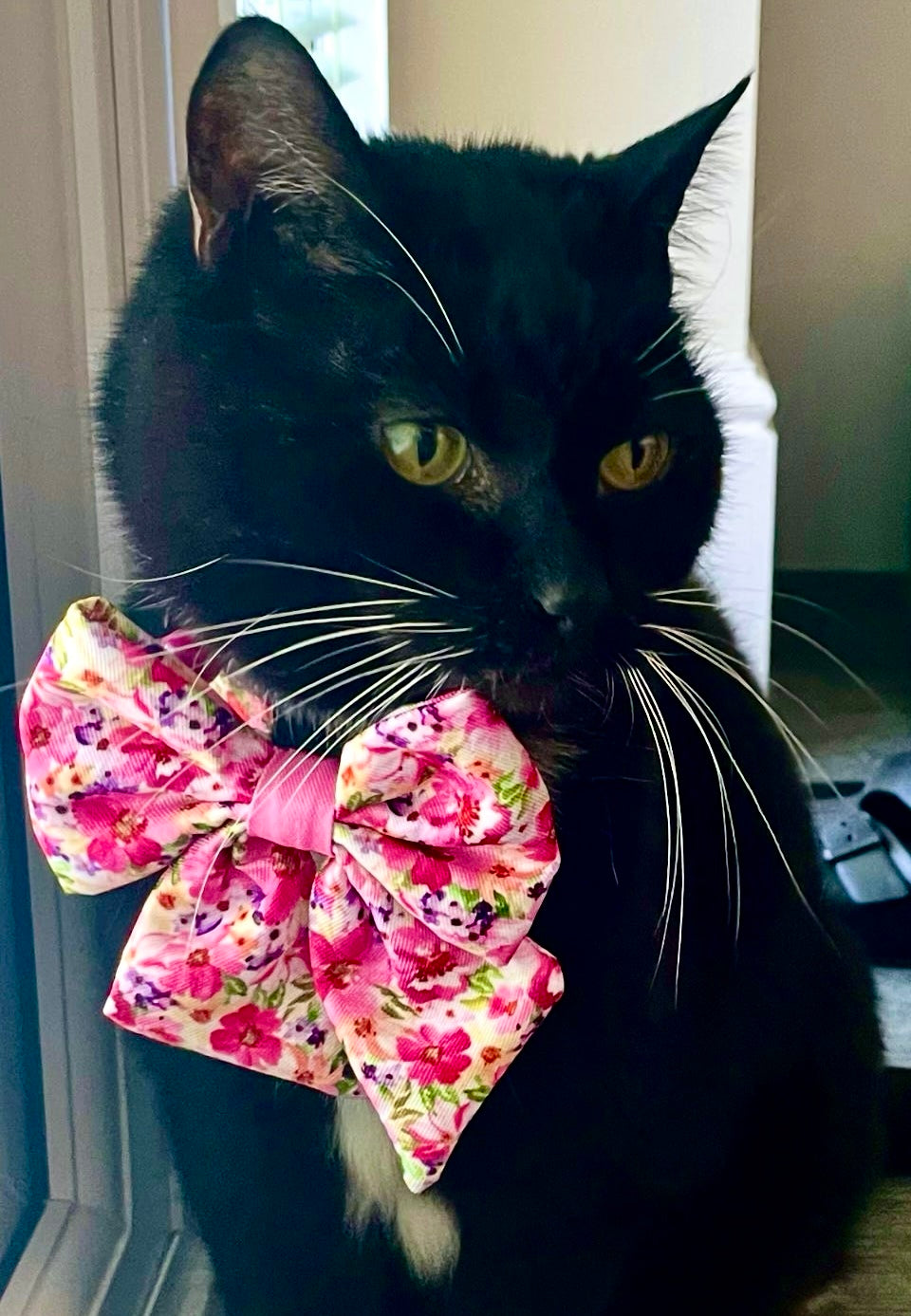Florentina - Cat Collar, One Size