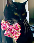 Florentina - Cat Collar, One Size
