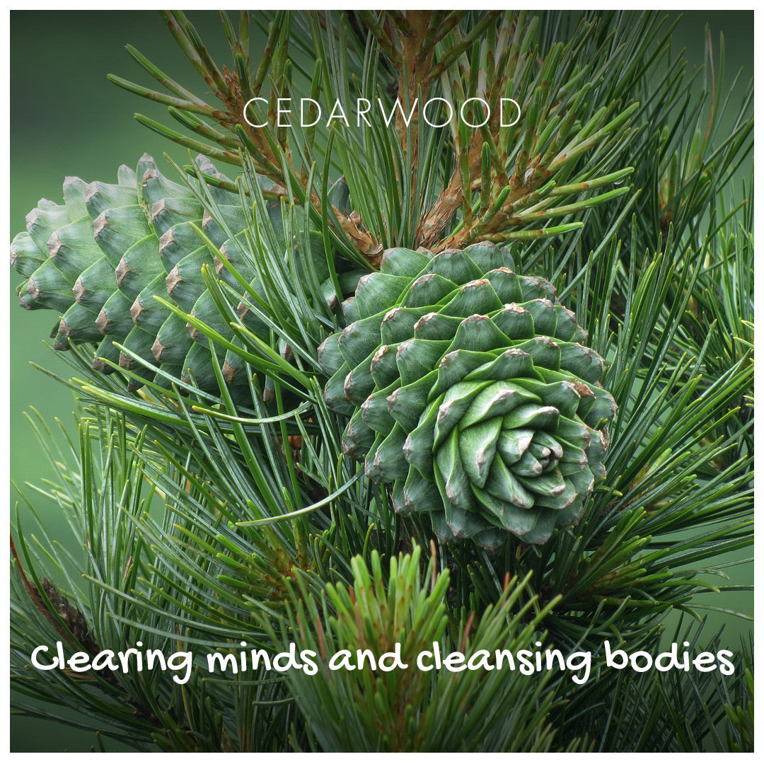 Natural Soap - Cedarwood