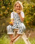 Classic Wide Stripe Denim Dungarees - Blue
