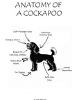 Anatomy of a Cockapoo Print