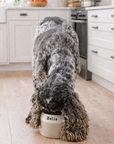 Personalised Ear Free Cocker Spaniel Bowl