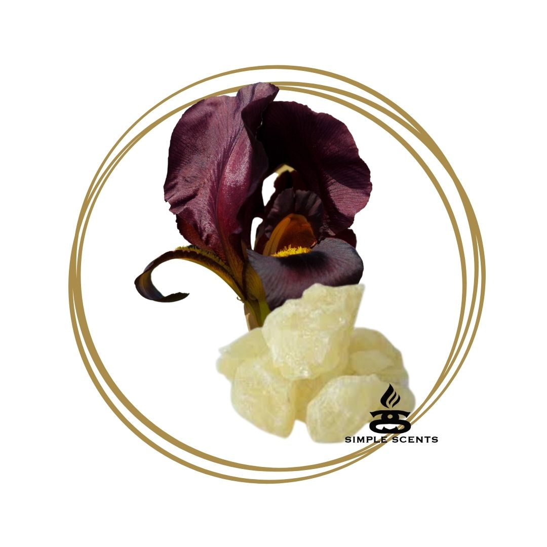 Black Iris &amp; Musk - Simple Scents Ambience Large Twirl Style Soy Wax Melts