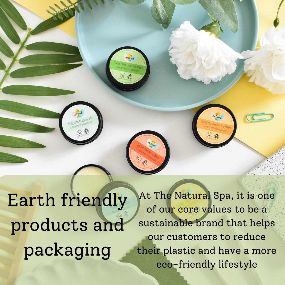 Cucumber Lime Natural Lip Balm | Vegan, Hydrating &amp; Nourishing | Plastic-Free, Handmade Lip Care