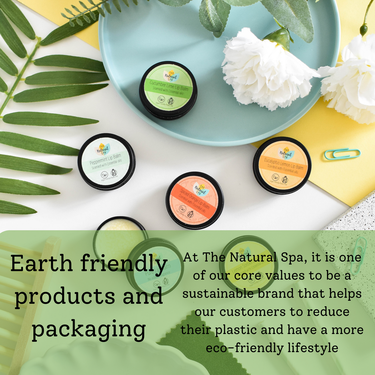 Peppermint Natural Lip Balm | Vegan, Hydrating &amp; Nourishing | Plastic-Free, Handmade Lip Care