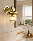 Wells Solid Brass Caged Swan Neck Wall Light - IP65