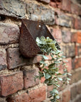 Vintage Rusty Metal Wall Mounted Planter / Herb Planter / Plant Pot / Key Holder
