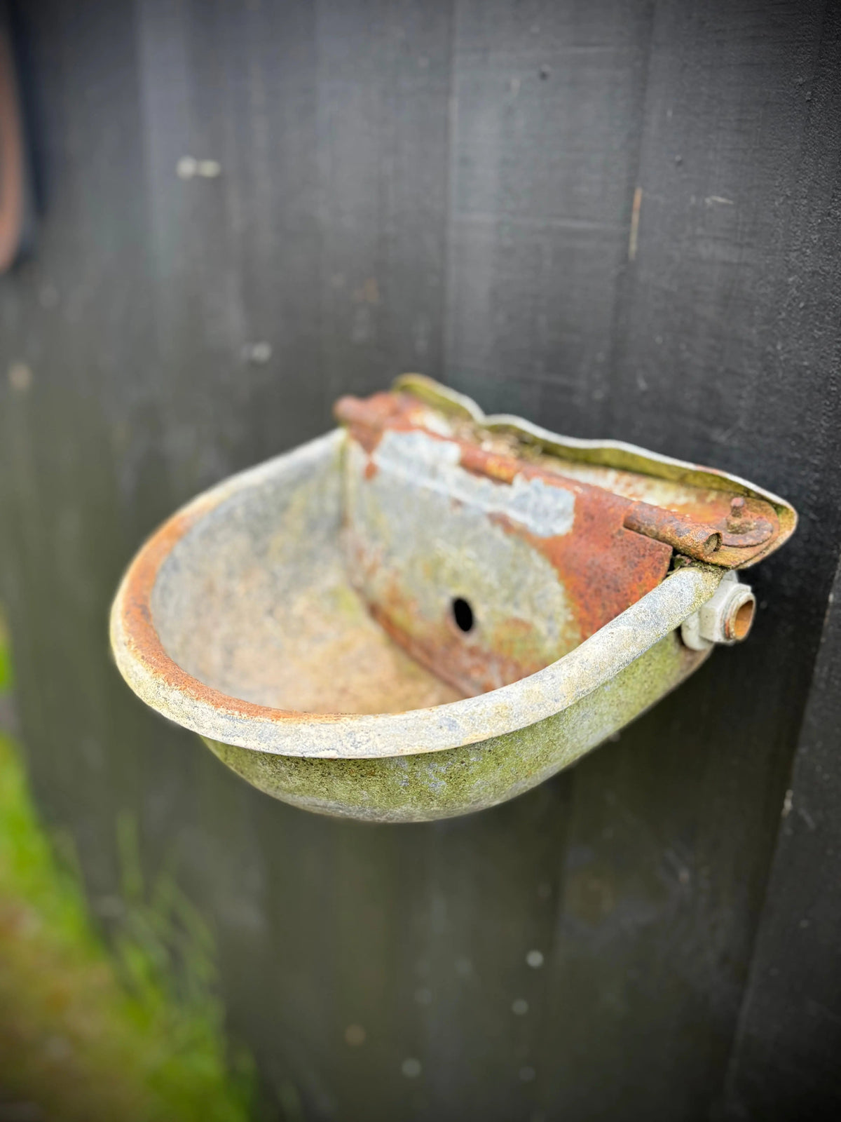 Wall Planters / Cattle Feeder / Hanging Basket / Herb Planter / Plant Pot