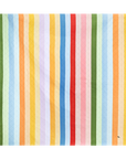Candy Stripes Picnic Blanket
