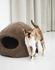 Nest Natural Sheepskin Pet Bed - Beige