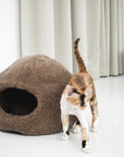 Nest Natural Sheepskin Pet Bed - Beige