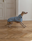 Water-repellent Dog Trench Coat - Light Blue