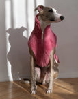 Woolen Dog Vest - Pink