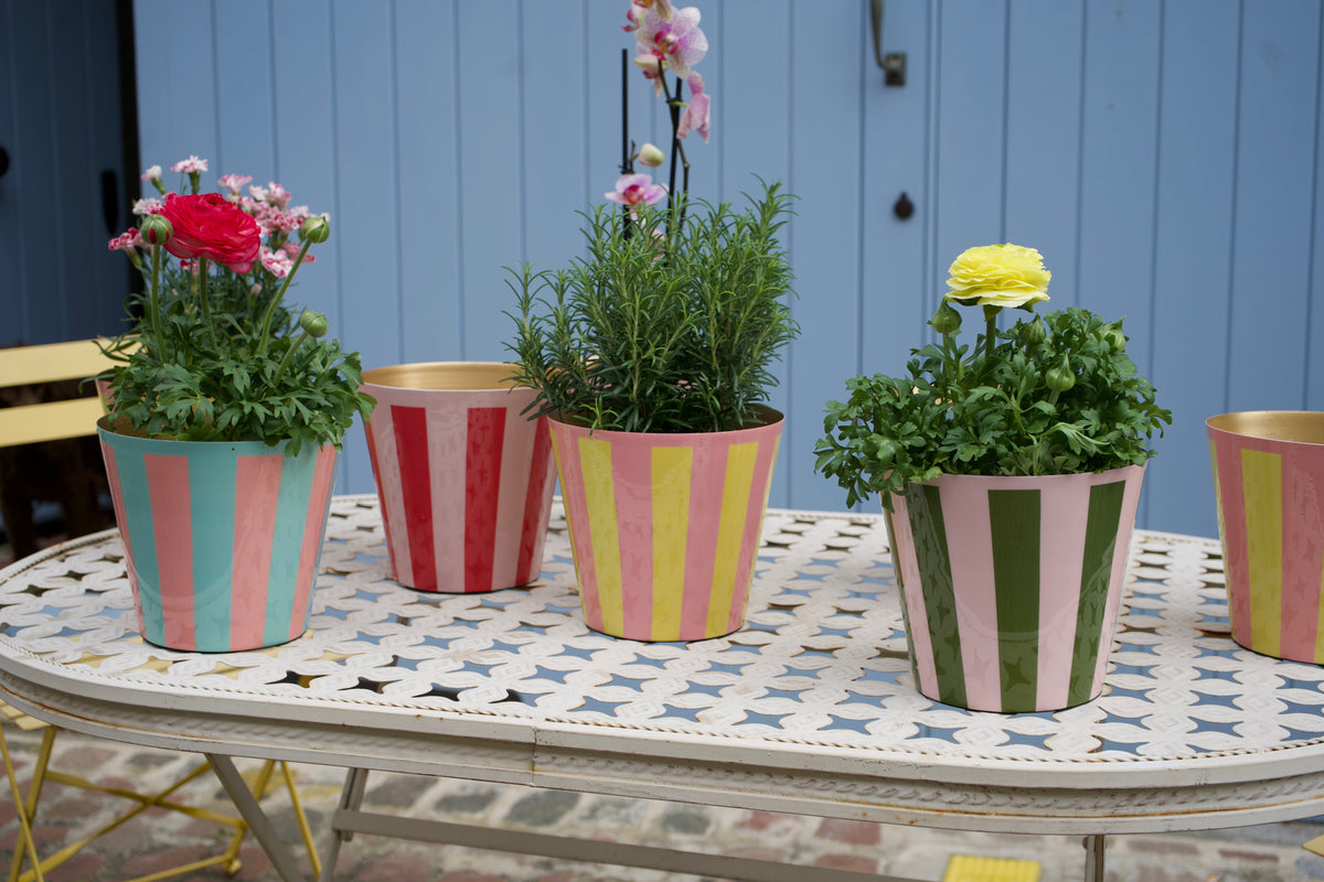The Penny Planter in Pink and Yellow Stripe