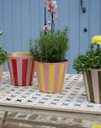 The Penny Planter in Pink and Yellow Stripe