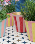 The Penny Planter in Pink and Blue Stripe