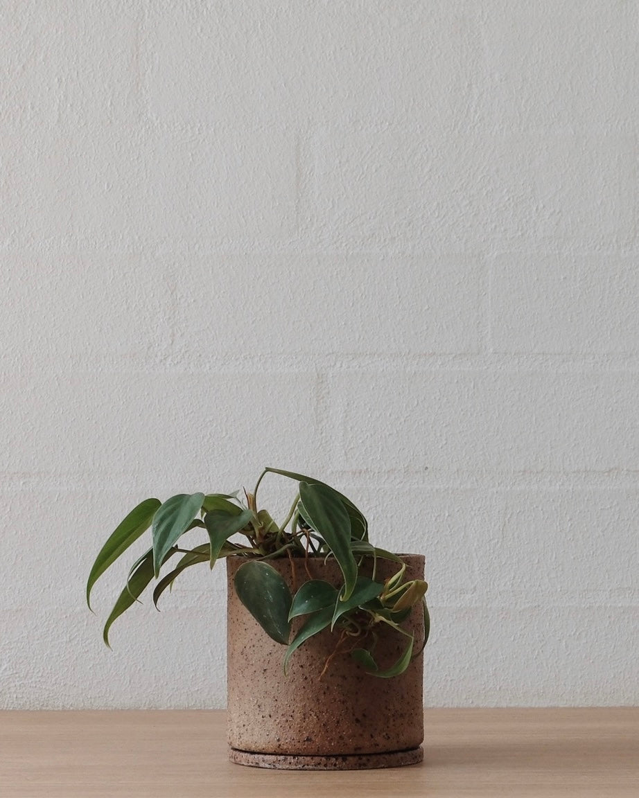 Handmade ceramic planter - Natural Earth