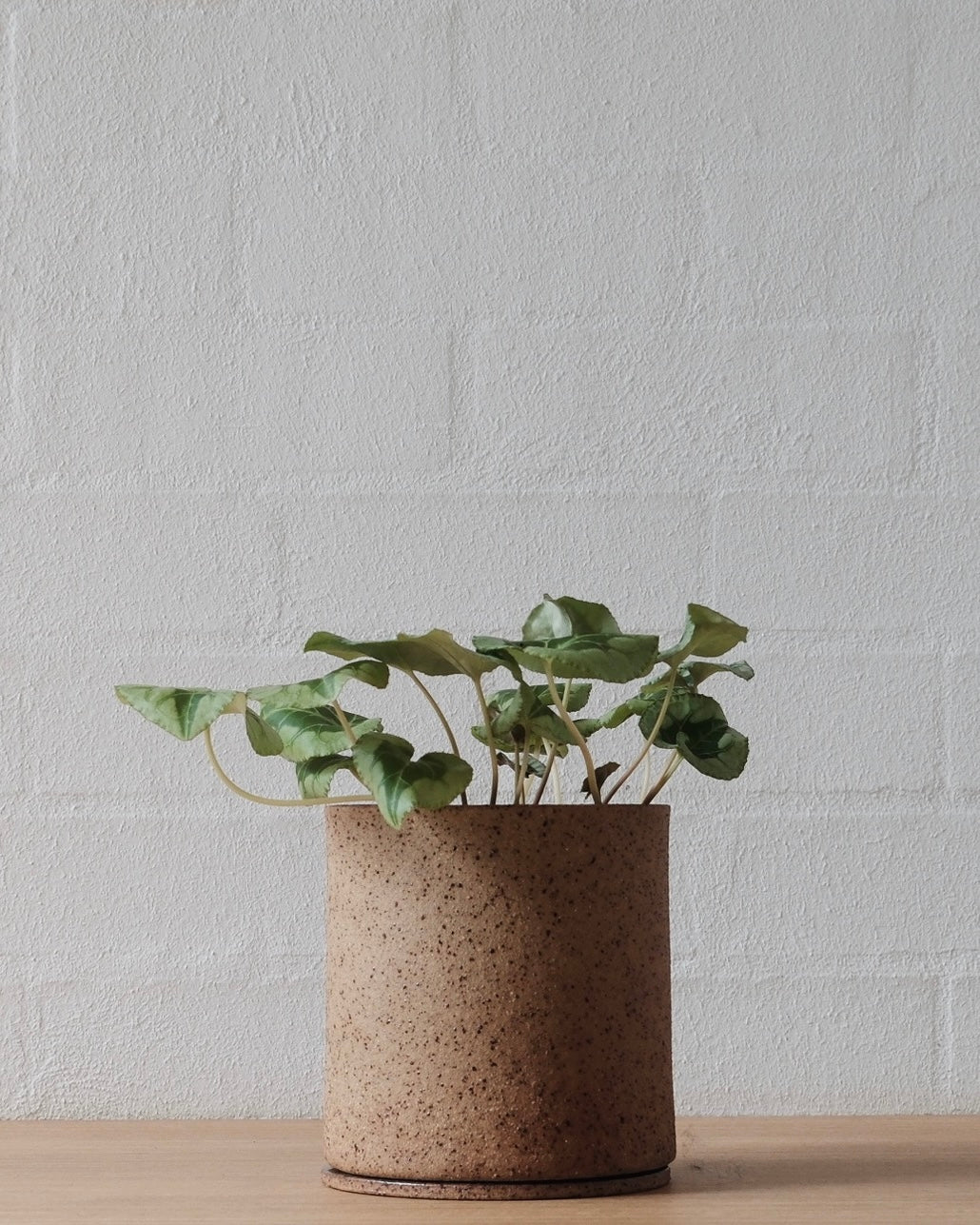 Handmade ceramic planter - Natural Earth