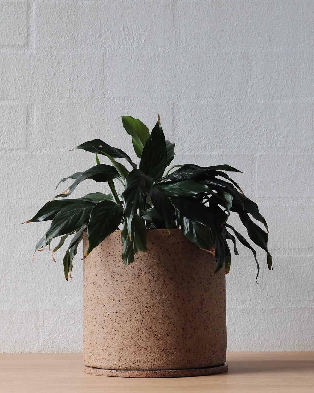 Handmade ceramic planter - Natural Earth