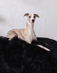 Oval Natural Sheepskin Pet Bed - Black